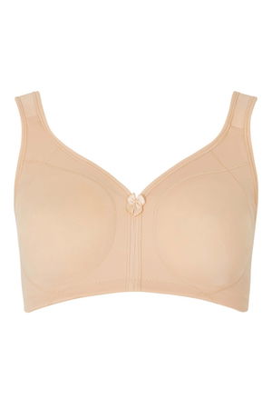 Full Cup Bra product image