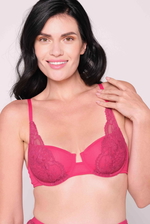 Lace and Mesh Underwired Bra product image 1