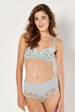 Embroidered Floral Brief with Mesh product image 1