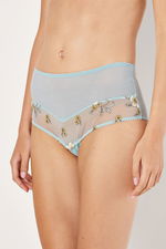 Embroidered Floral Brief with Mesh product image 2