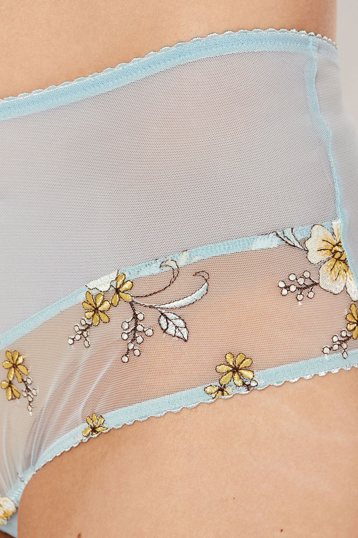 Embroidered Floral Brief with Mesh product image 3