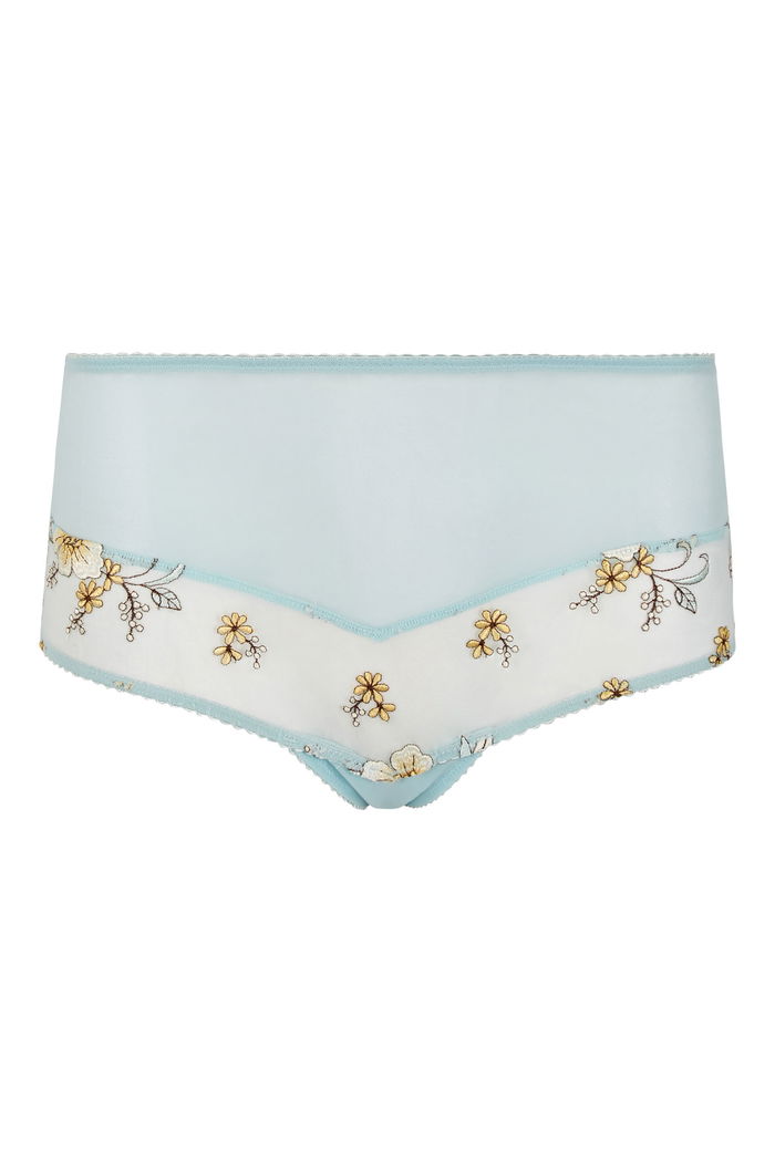 Embroidered Floral Brief with Mesh product image 5