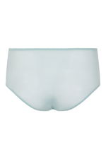 Embroidered Floral Brief with Mesh product image 6